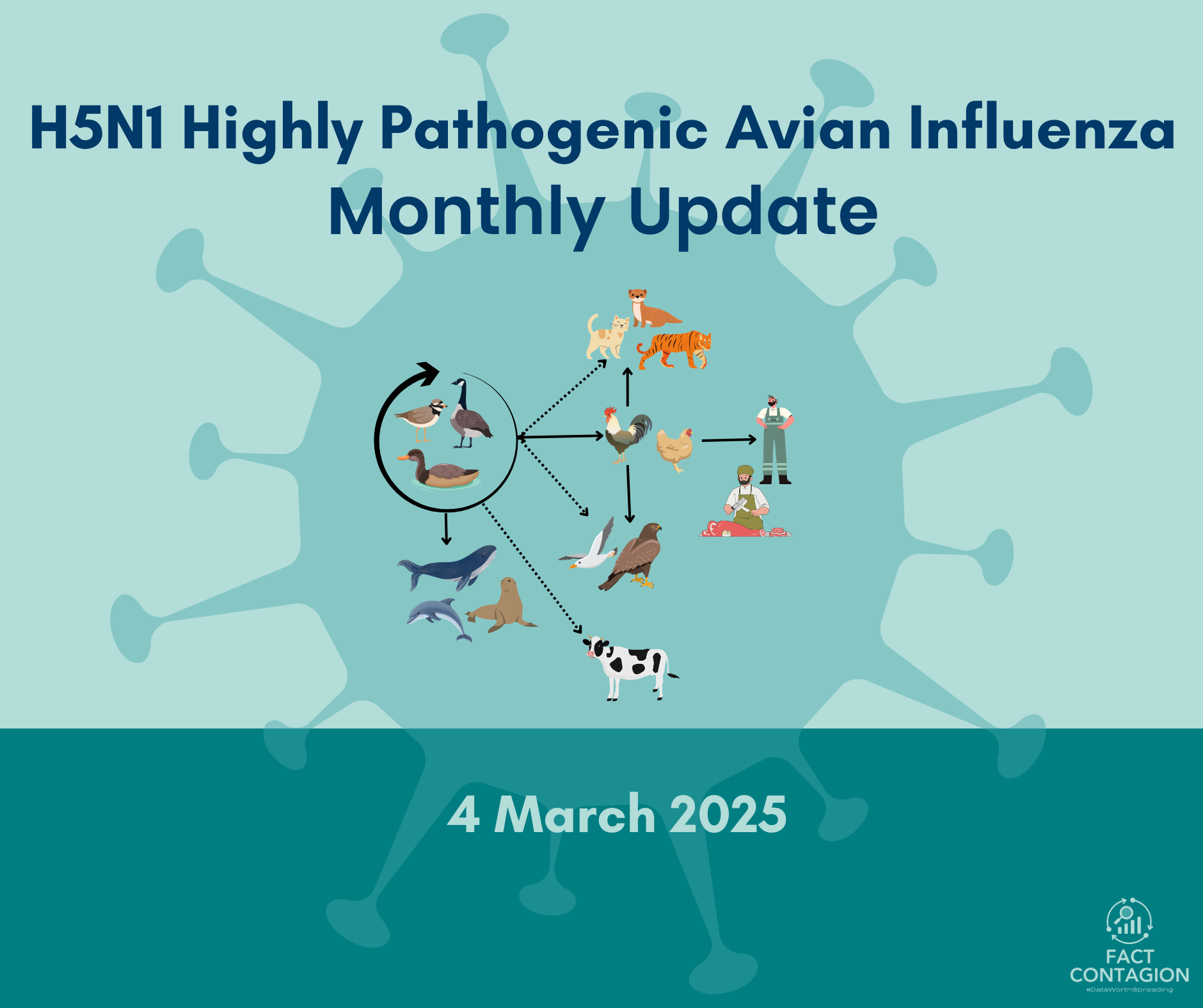 Breaking down the current status of H5N1 avian flu in the US: March 2025