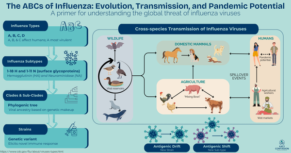 The ABCs of Influenza: Evolution, Transmission, and Pandemic Potential